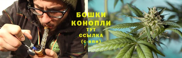 PSILOCYBIN Алексин