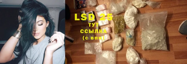 PSILOCYBIN Алексин
