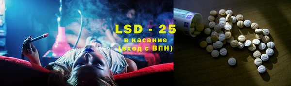 крисы Алзамай