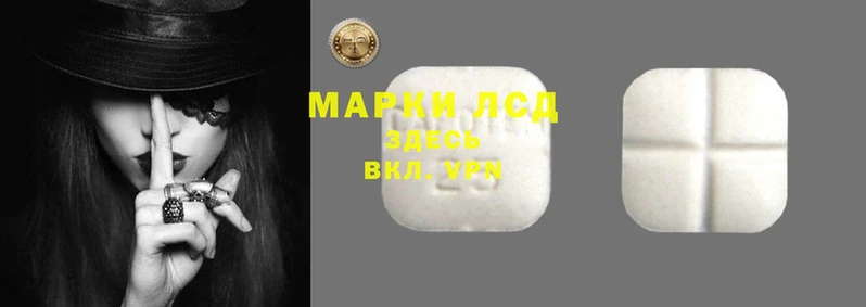 PSILOCYBIN Алексин