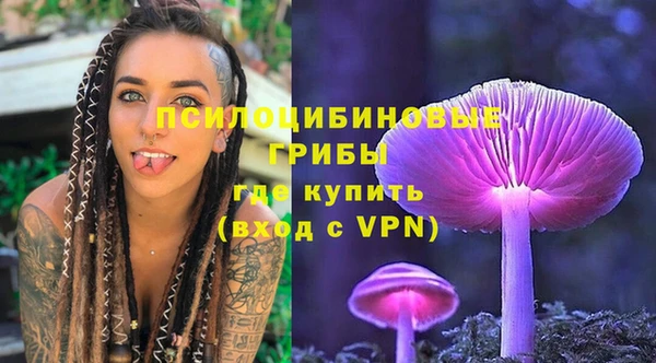PSILOCYBIN Алексин