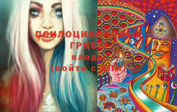 PSILOCYBIN Алексин
