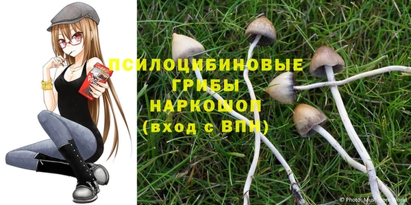 крисы Алзамай